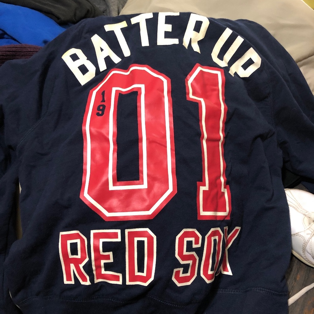 Love Pink Boston Crop Hoody